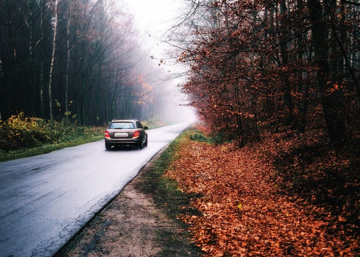 Bußgeld: So fahren Sie sicher durch den Herbst Tipps für das Autofahren bei Nebel, Dunkelheit und Regen