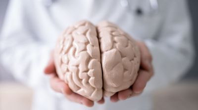 Jens Schwamborn: Mit Mini-Brains gegen Parkinson